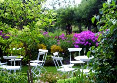 ¡Bienvenidos a Sur Vivero!
